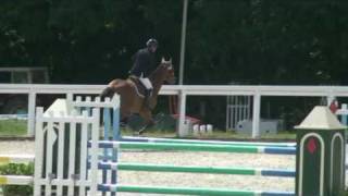 Roc de Launay jumping horse by Quite easy [upl. by Demona]