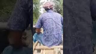 Buffalo cart in Kustia village Bangladesh chorar Mohishar gari [upl. by Ahseina]