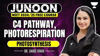 Photosynthesis  C4 Pathway Photorespiration  NEET 2024  Dr Gargi Singh [upl. by Eenahpets]