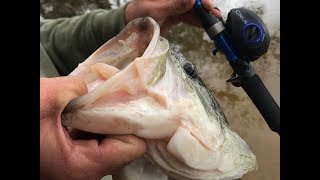 Sixgill Vlogs  Catching BIG LARGEMOUTH In a Flooded Feeder Creek [upl. by Body]