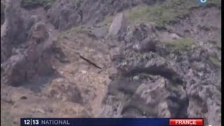 2 gypaètes barbus réintroduits dans le parc du Mercantour [upl. by Sldney]