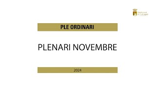 Sessió plenària extraordinària 11 Novembre [upl. by Michelsen]