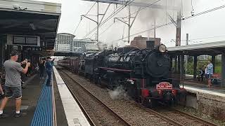 Kiama Picnic Train  5917 into Sutherland station [upl. by Suoirrad]