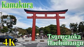 【4K】 JAPAN TRAVEL Kamakura Tsurugaoka Hachimangu Shrine Tourism [upl. by Tomasine]