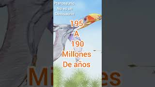 Dimorfodon macronyx todo lo que debes saber prehistoricpedia 9 [upl. by Soraya226]