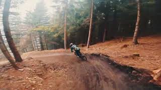 DOWNHILL funn 🫣  Bikepark Trail Park Dolni Morava [upl. by Urita790]