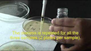 Inuse test for disinfectants [upl. by Hgalehs509]