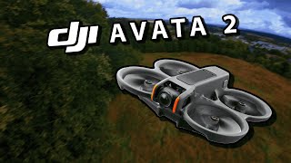 DJI Avata 2 MModus nach 5 Stunden Simulator – Mein Ergebnis [upl. by Tortosa491]