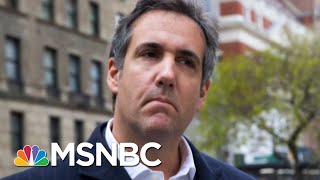 Companies Paid Millions To Michael Cohen  Morning Joe  MSNBC [upl. by Lange]