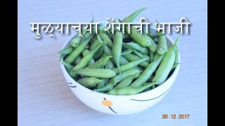 मुळ्याच्या शेंगाची भाजी  Mulyachya Shenga chi Bhaji  moongre ki sabzi  Radish Pods Sabzi [upl. by Lemhaj]