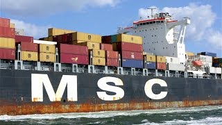 MSC MICHAELA at Port Everglades [upl. by Sansen]