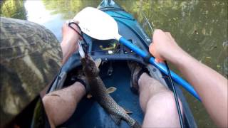 Pike Fishing the State Ditch NY Pike Jumps in Kayak [upl. by Ahsenom]