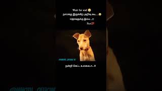 love feeling trending motivation public tamil shorts dog doglover youtubeshorts youtube [upl. by Lanuk]