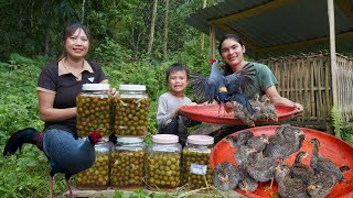 Catching rare wild birds harvesting wild canarium fruits for preservation life on the farm [upl. by Dorrehs730]