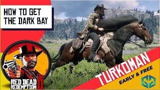 The Dark Bay Turkoman Get It Early amp Free Red Dead Redemption 2 [upl. by Ellak]