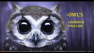 The mysterious folk lore of the Owl [upl. by Eanwahs]