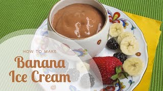 How to Make Banana Ice Cream ThreeIngredient Chocolate Banana Ice Cream with No Added Sugar [upl. by Eaner459]