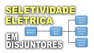 O que é seletividade elétrica [upl. by Jessy]