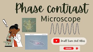 Phase Contrast Microscopy notes  Tamil  Biology  Biotechnology Tamil Biotechnologytamil [upl. by Mcmillan]