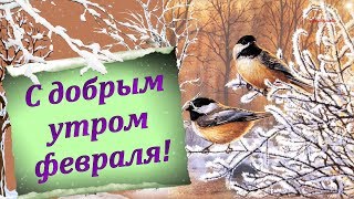 С ДОБРЫМ УТРОМ ФЕВРАЛЯ [upl. by Allets]