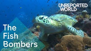 Bombing endangered coral reefs to catch fish  Unreported World [upl. by Jodi972]