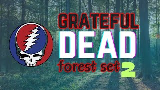 Grateful Dead Live Music Mix Forest Set 2 [upl. by Layney877]