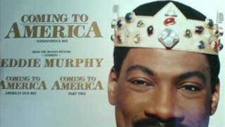 COMING TO AMERICA  THE SYSTEM [upl. by Doralynne]