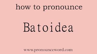 Batoidea How to pronounce Batoidea in english correctStart with B Learn from me [upl. by Ahsienot]