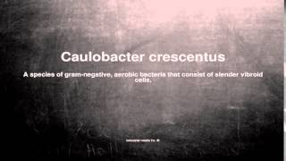 Medical vocabulary What does Caulobacter crescentus mean [upl. by Eyoj]