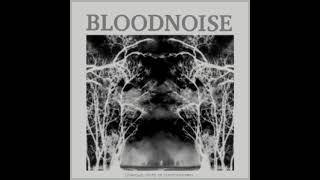 BLooDNoISE ÷ Unknown state of consciousness white side [upl. by Shimberg436]