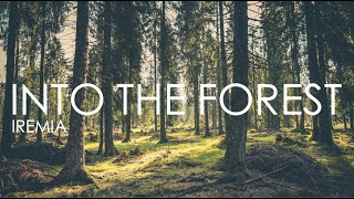 HD INTO THE FOREST  10 minute Forest Sounds Relaxation Meditation Sleep Calming music [upl. by Ezara998]