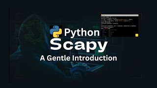 Python Scapy 101 Ping  ICMP [upl. by Eniarral114]