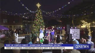 Tree lighting ceremony kicks off the holidays [upl. by Navetse]