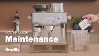 The Oracle®  A stepbystep guide on how to descale your espresso machine  Breville USA [upl. by Nerro]