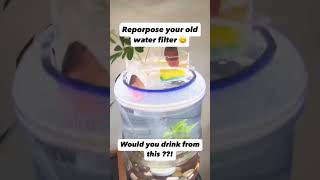 DIY Aquarium From an Old Water Filter [upl. by Oatis941]