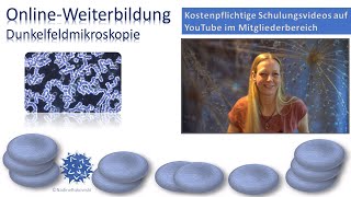 Kostenpflichtige online DunkelfeldMikroskopieSchulungsVideos auf YouTube über eine Mitgliedschaft [upl. by Annelak512]