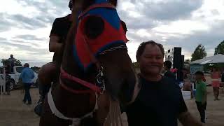 Corrida de Cavalos  Festejo do Fininho no PANova Amazônia P5 [upl. by Barta]