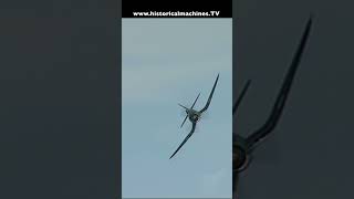 Corsair At Warbirds Over Wanaka [upl. by Peskoff89]