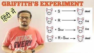 GRIFFITHS EXPERIMENT Transforming principle [upl. by Hasina]