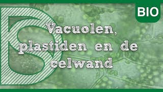 Examen biologie  Vacuolen plastiden en de celwand De plantencel [upl. by Inalem782]