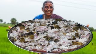 Sardinella Lemuru Dried Fish With Tomato DriedElaFish Recipe [upl. by Jedd]