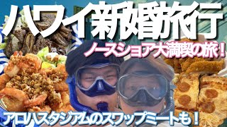 【ハワイ新婚旅行！4日目！】ノースショア大満喫の旅！ハレイワでガーリックシュリンプ！シャークスコーブでシュノーケル！ラニアケアビーチでウミガメ探し！【Vo4】 [upl. by Onirotciv]