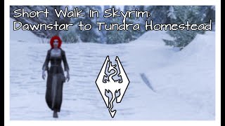 Short Walk In Skyrim Dawnstar to Tundra Homestead [upl. by Ternan36]