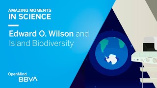 Edward O Wilson and Island Biodiversity  AMS OpenMind [upl. by Nnylsoj]