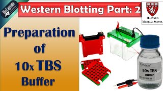 Western Blotting Part 2 10 X TBS buffer preparation [upl. by Aibar770]