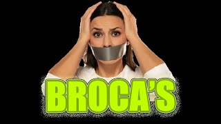 The Astonishing Truth About Brocas Aphasia  3 min ⏰ Neuropsychology [upl. by Notlok]