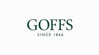 Goffs UK  Spring HITPTP Sale 2023  Day 2 [upl. by Blair149]