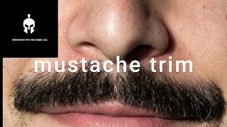 mustache trim [upl. by Oirasec57]