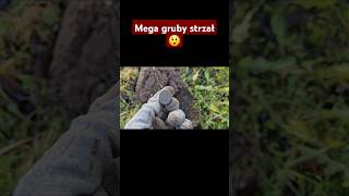 Jest moc mega gruby strzał 😲😲😲shorts metaldetecting wykopki sondeln [upl. by Aikemot]