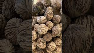 Why Black walnuts are more nutritious than English Walnuts [upl. by Rammaj]